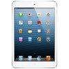 Apple iPad mini 16Gb Wi-Fi + Cellular белый - Шадринск