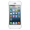 Apple iPhone 5 16Gb white - Шадринск