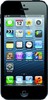 Apple iPhone 5 16GB - Шадринск