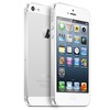 Apple iPhone 5 64Gb white - Шадринск